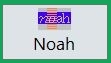 Noah button.jpg